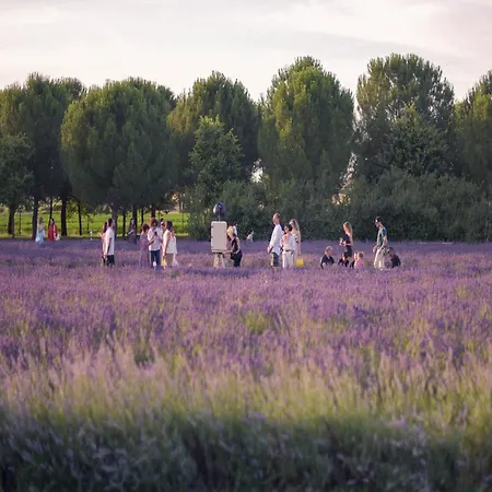 Belvilla By Oyo Mascia 別荘